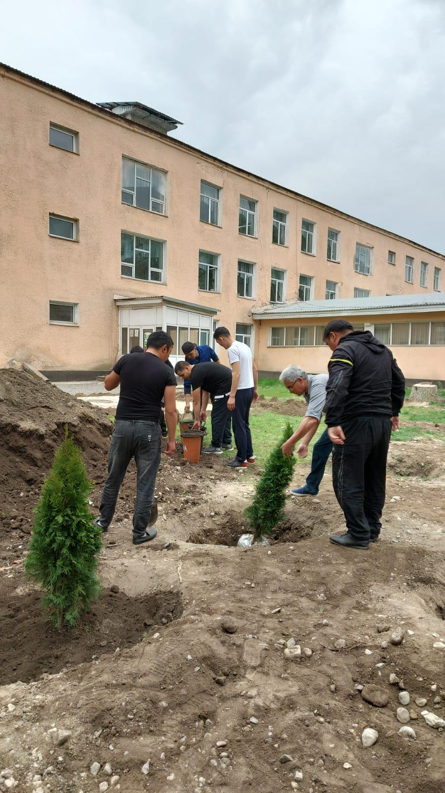 Мектеп ауласын көгалдандыру үрдісі